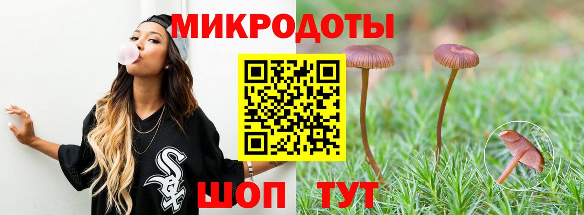Псилоцибиновые грибы мицелий Красногорск