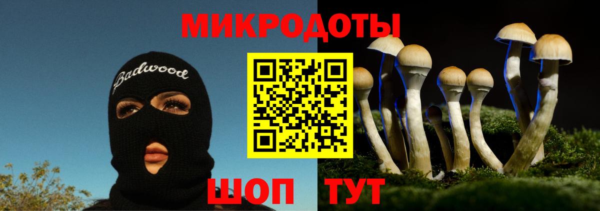 Красногорск  Псилоцибиновые грибы Psilocybine cubensis  Вход с VPN  купить наркотики цена  Галлюциногенные грибы мицелий 